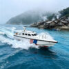 ST10 Offshore Stealth Quad Engine Quad Propeller Patrol Boat